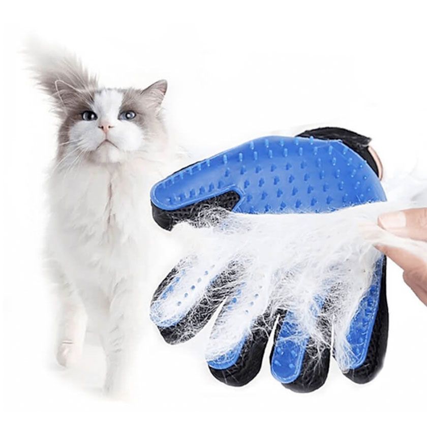 PACK MASCOTA - CEPILLO Y GUANTE (Oferta)