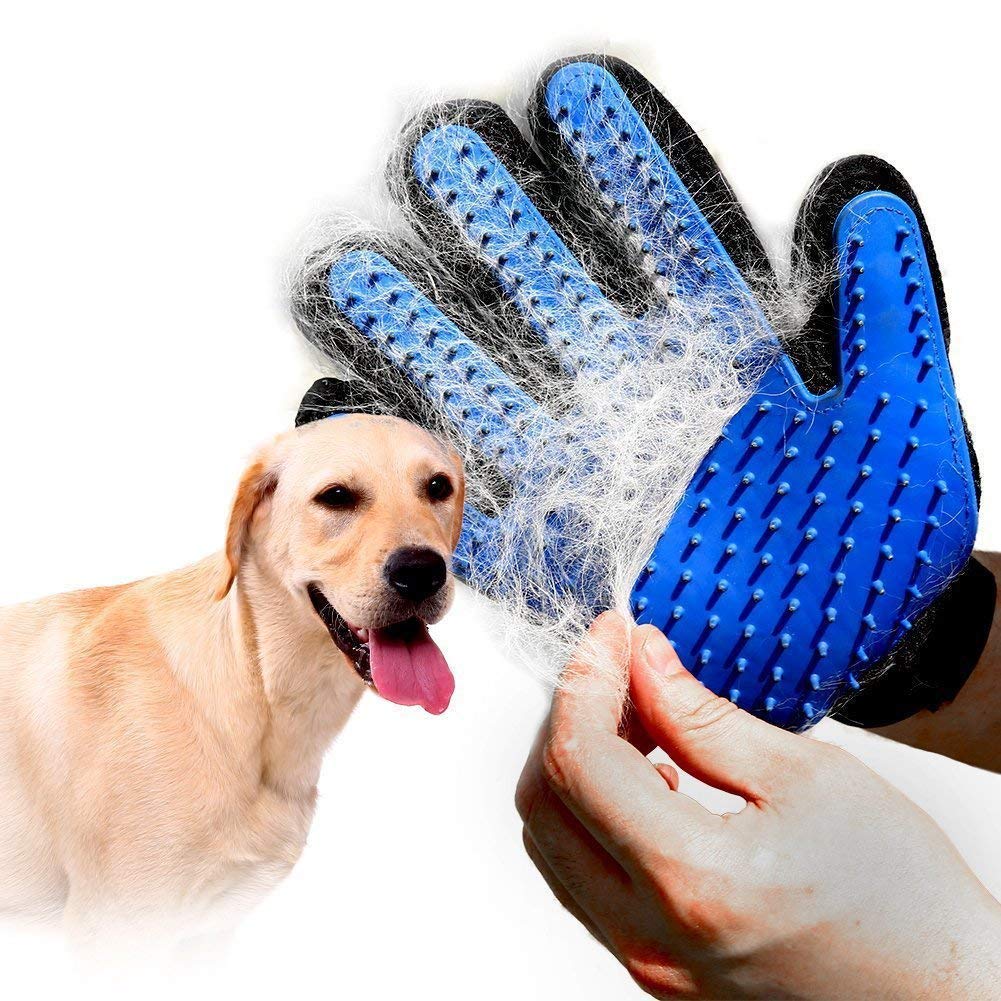 PACK MASCOTA - CEPILLO Y GUANTE (Oferta)
